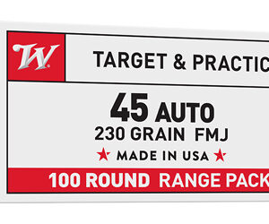 WIN USA 45ACP 230GR FMJ 100/500